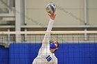 Volleyball vs RWU  Wheaton Women’s Volleyball vs Roger Williams University. : Volleyball, VB